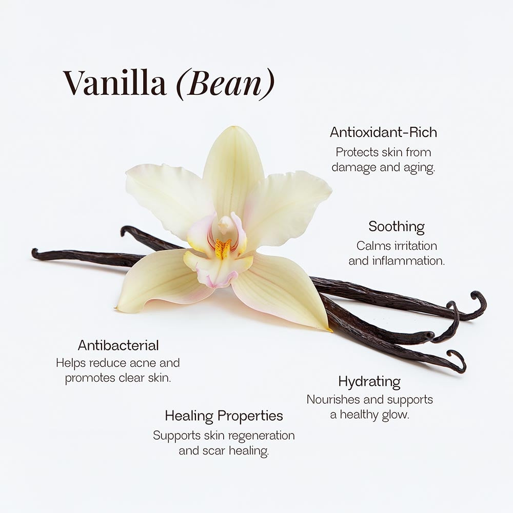 Darsai Whipped Grass-Fed Tallow Balm with Vanilla Bean